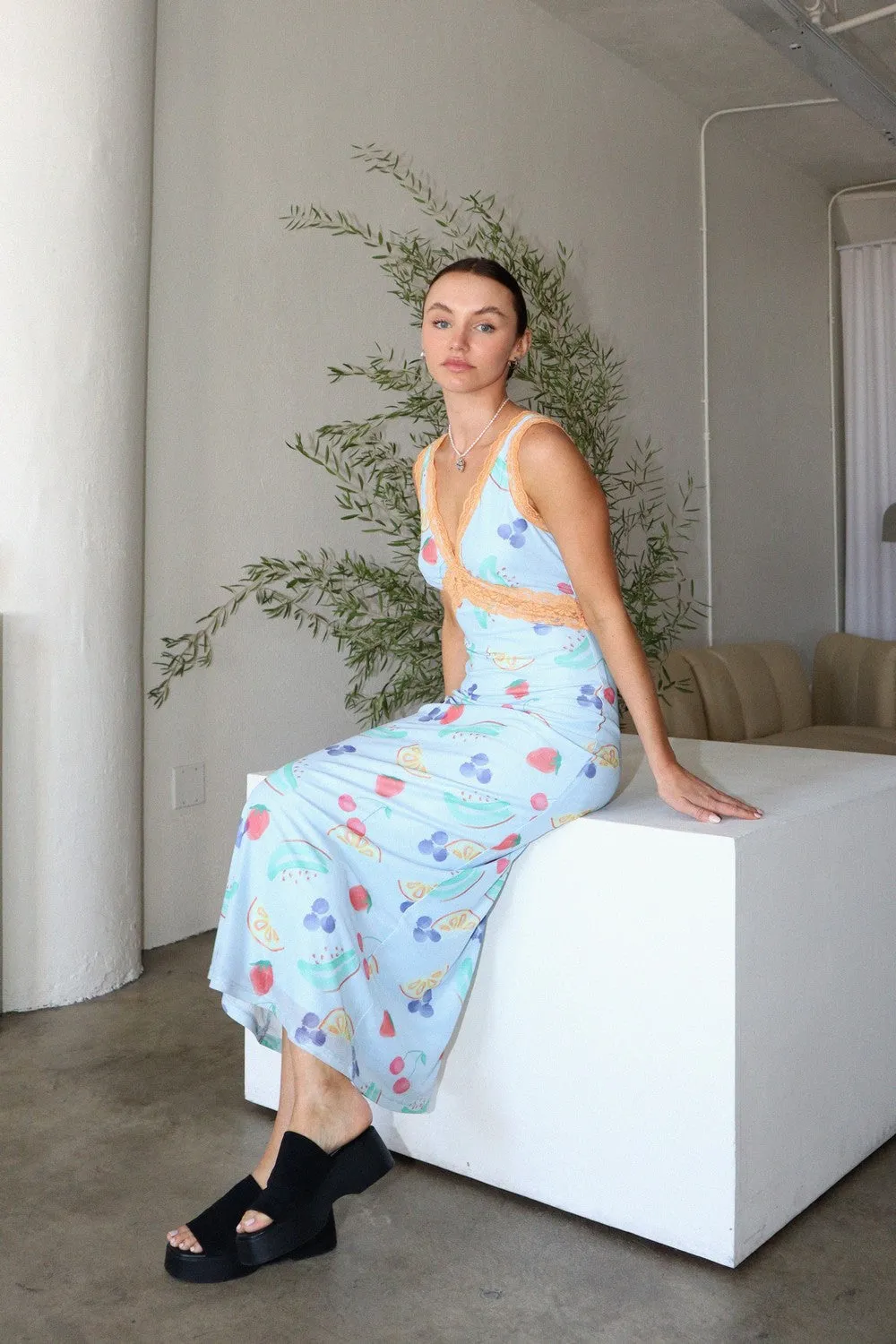 Fruits Printed Long Dress