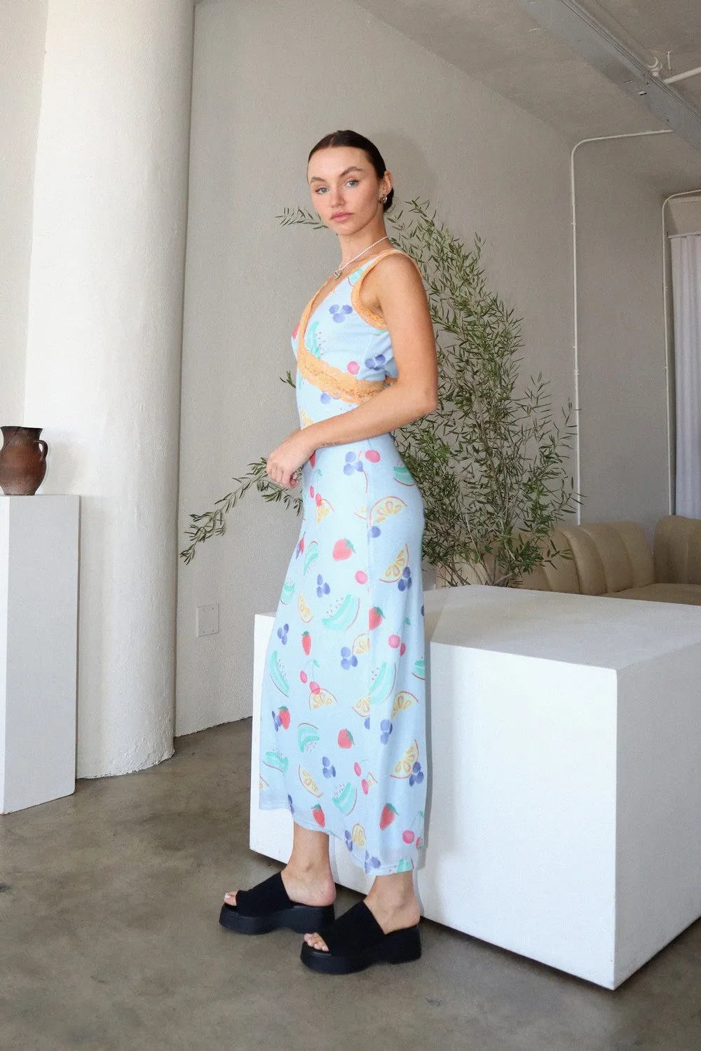 Fruits Printed Long Dress