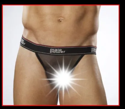 Male Power Sheer Mustang Bikini Underwear