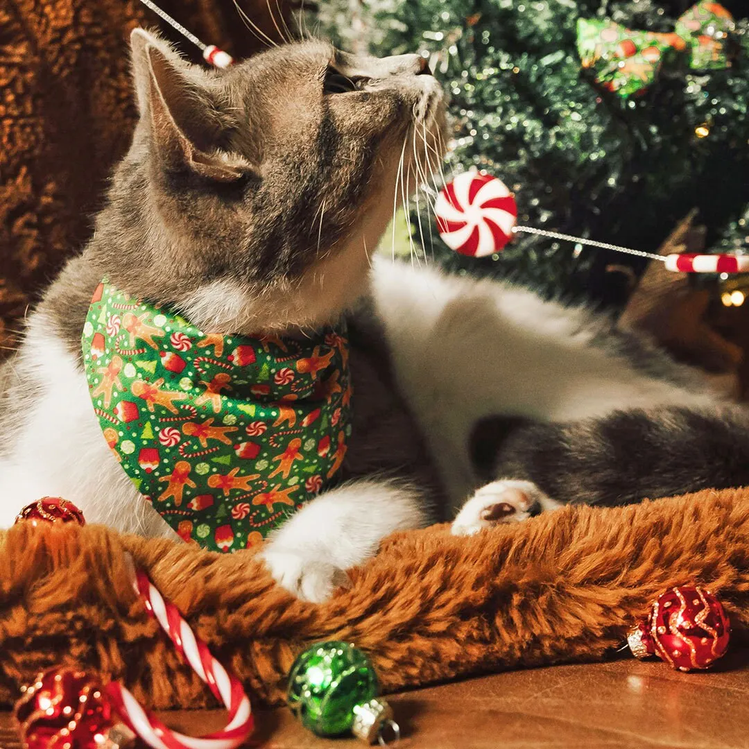 Pet Bandana - "Christmas Treats - Green" - Holiday Gingerbread Bandana for Cat   Small Dog / Slide-on Bandana / Over-the-Collar (One Size)