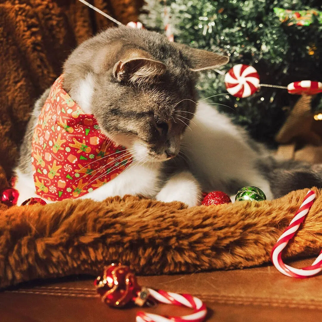 Pet Bandana - "Christmas Treats - Red" - Holiday Gingerbread Bandana for Cat   Small Dog / Slide-on Bandana / Over-the-Collar (One Size)