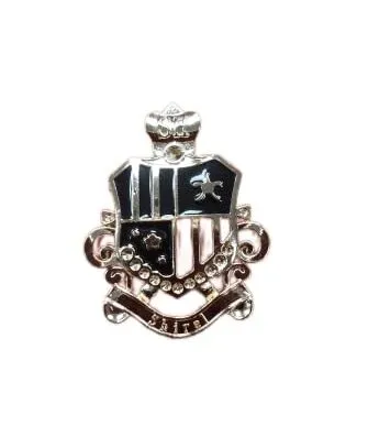 Shirrel Shield Brooch