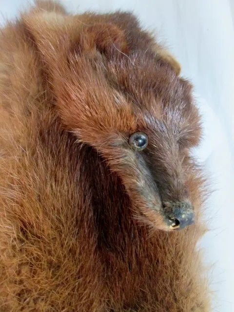 Vintage Genuine 47" MINK FUR SCARF Stole Neck Belt Boa Collar Tail BROWN WOW!