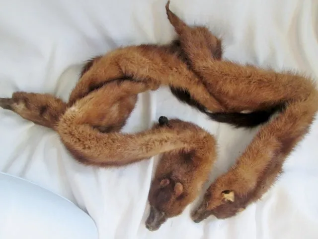 Vintage Genuine 47" MINK FUR SCARF Stole Neck Belt Boa Collar Tail BROWN WOW!